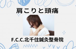 Blue Doodle Project Presentation