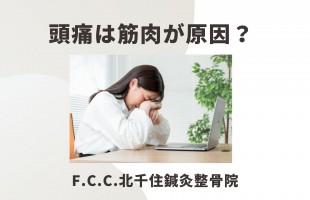 白 モノトーン シンプル スタイリッシュ 会社説明 プレゼンテーション (1)