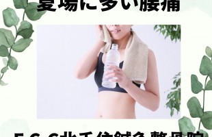 段落テキスト (2)