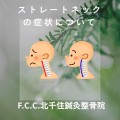 緑 シンプル お知らせ Instagram投稿