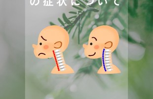 緑 シンプル お知らせ Instagram投稿