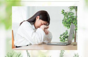 ホワイト　グリーン　ナチュラル　ハーブの使い方　インスタグラム投稿