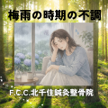 グリーン キラキラ 癒し リトリート 体験 旅 告知 宣伝 広告 インスタグラム 投稿 (1)