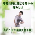 ホワイト　グリーン　ナチュラル　ハーブの使い方　インスタグラム投稿 (1)