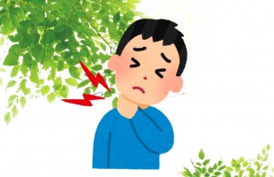 グリーン　ホワイト　シンプル　お知らせ　Instagram投稿画像 (12)
