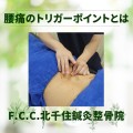 ホワイト　グリーン　ナチュラル　ハーブの使い方　インスタグラム投稿 (3)