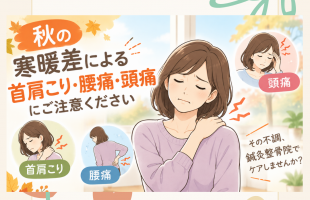 ピンク　イエロー　花　お知らせ　Instagramの投稿 (1)